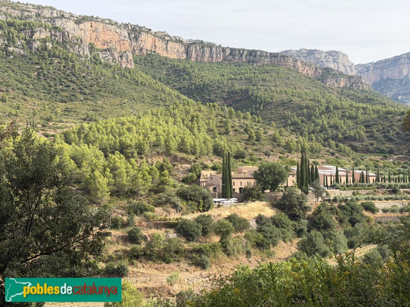 La Morera de Montsant - Mas del Tancat (Foto: Albert Esteves, 2026) La Morera de Montsant - Mas del Tancat