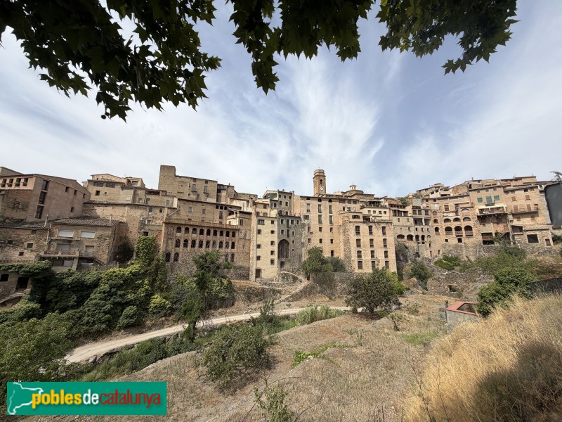 La Vilella Baixa - Façanes del riu (Foto: Albert Esteves, 2026) La Vilella Baixa - Façanes del riu