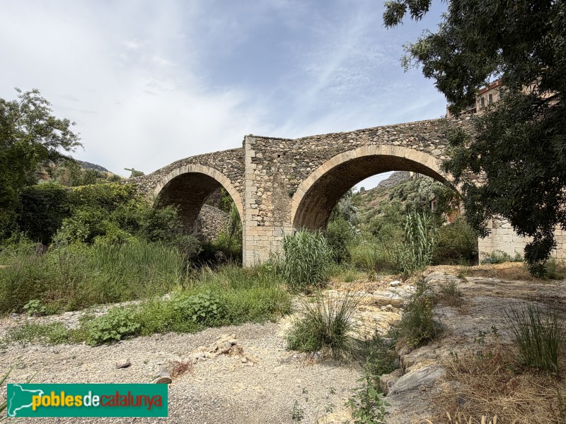 La Vilella Baixa - Pont Gran (Foto: Albert Esteves, 2026) La Vilella Baixa - Pont Gran