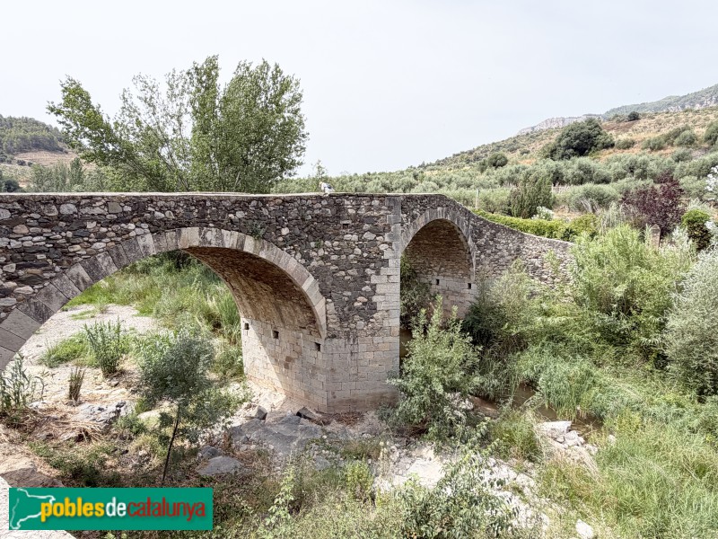 La Vilella Baixa - Pont Gran (Foto: Albert Esteves, 2026) La Vilella Baixa - Pont Gran
