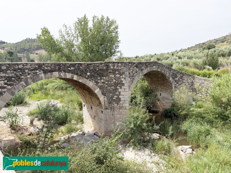 La Vilella Baixa - Pont Gran (Foto: Albert Esteves, 2026) La Vilella Baixa - Pont Gran