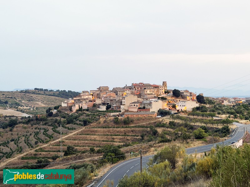 Gratallops - Panoràmica del poble des de la capella (Foto: Albert Esteves, 2026) Gratallops - Panoràmica del poble des de la capella