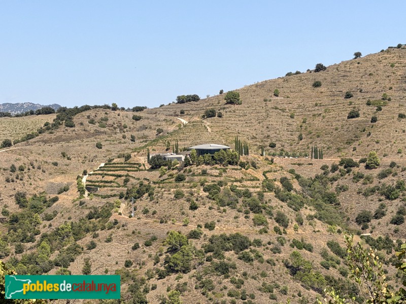 Falset - Bodega Ferrer Bobet (Foto: Albert Esteves, 2026) Falset - Bodega Ferrer Bobet