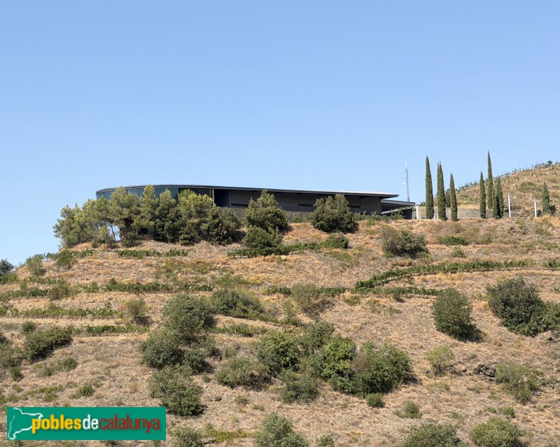 Falset - Bodega Ferrer Bobet (Foto: Albert Esteves, 2026) Falset - Bodega Ferrer Bobet