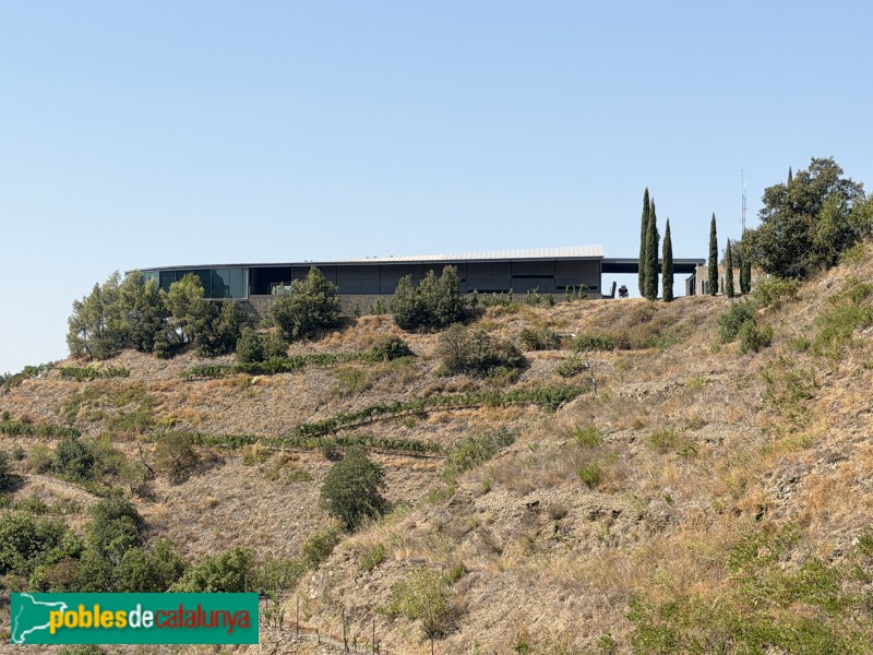 Falset - Bodega Ferrer Bobet (Foto: Albert Esteves, 2026) Falset - Bodega Ferrer Bobet