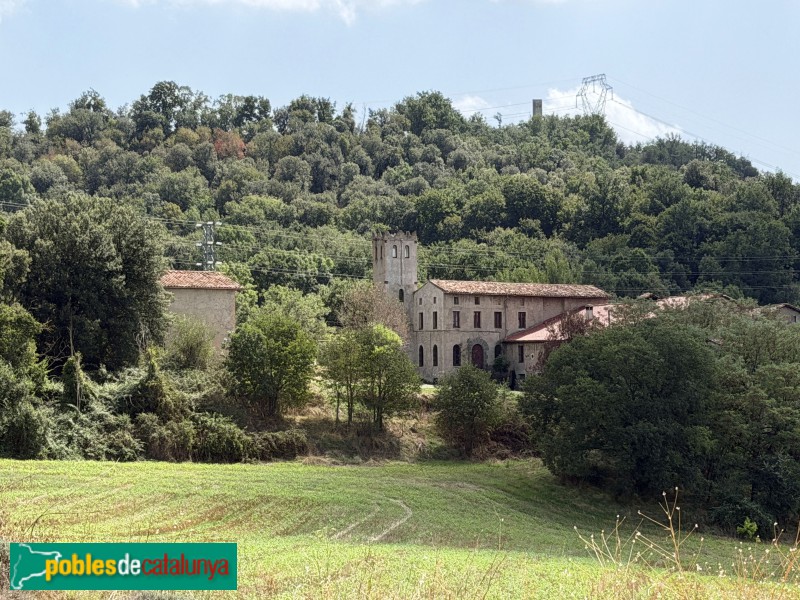 Sant Pere de Torelló - Les Moles (Foto: Albert Esteves, 2026) Sant Pere de Torelló - Les Moles