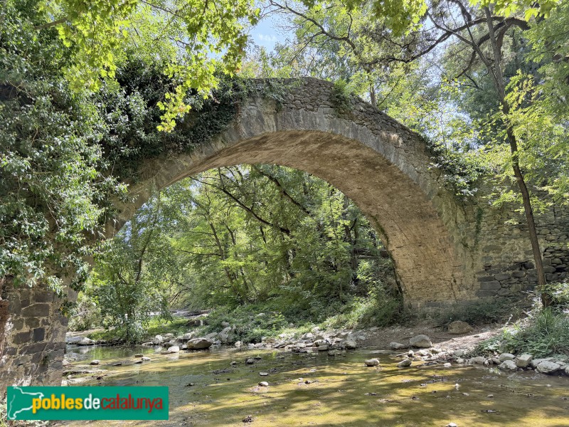 Sant Pere de Torelló - Pont de la Riera