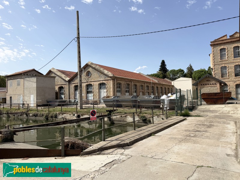 Sant Vicenç de Torelló - Colònia Borgonyà (Foto: Albert Esteves, 2026) Sant Vicenç de Torelló - Colònia Borgonyà