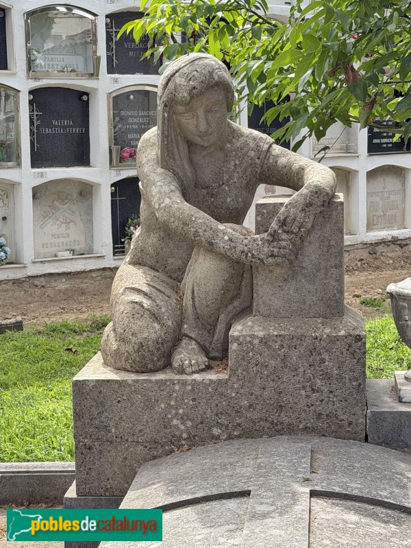 Torelló - Cementiri. Sepulcre Plácido Nofre