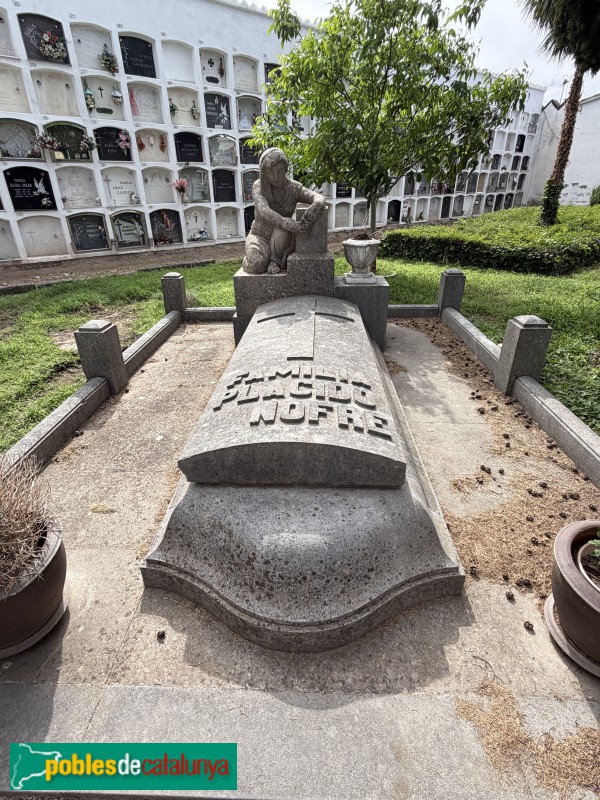 Torelló - Cementiri. Sepulcre Plácido Nofre