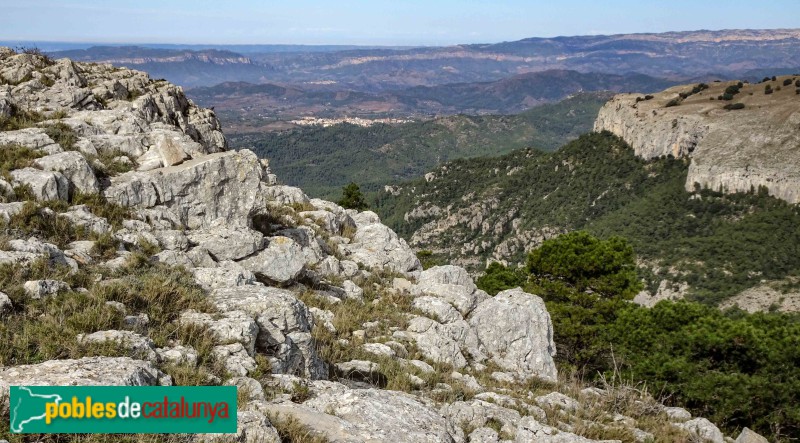El Priorat des de Mirador de Llaberia  (Francesc Vidal-Barraquer, 2020)