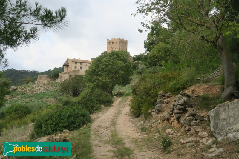 Tivissa - Mas d'Aumet