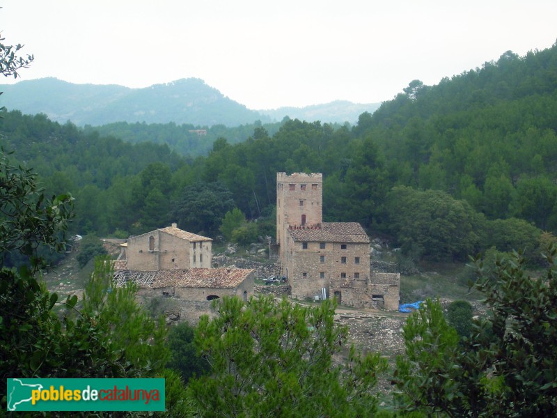 Tivissa - Mas d'Aumet