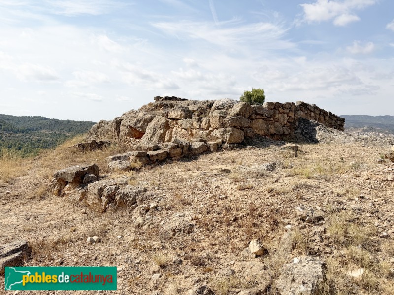Vinebre - Poblat ibèric de Sant Miquel