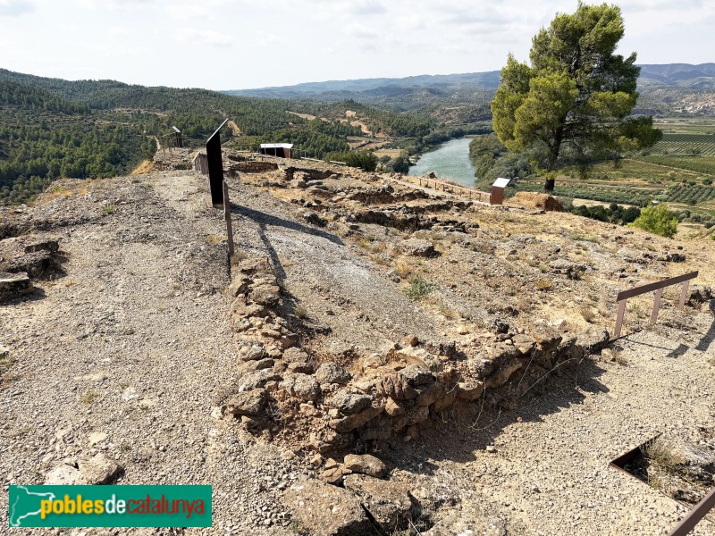 Foto de Vinebre - Poblat ibèric de Sant Miquel