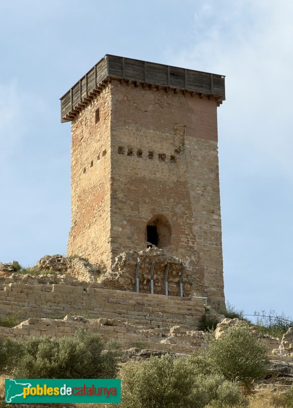 Ascó - Castell d'Ascó