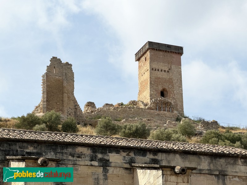 Ascó - Castell d'Ascó