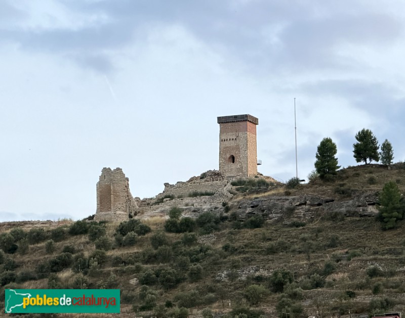 Ascó - Castell d'Ascó