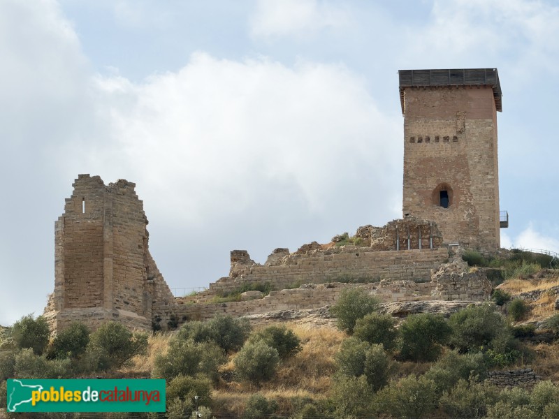 Ascó - Castell d'Ascó