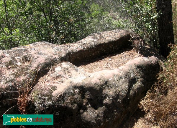Cervelló - Castell (Foto: Albert Esteves, 2006) Cervelló - Castell