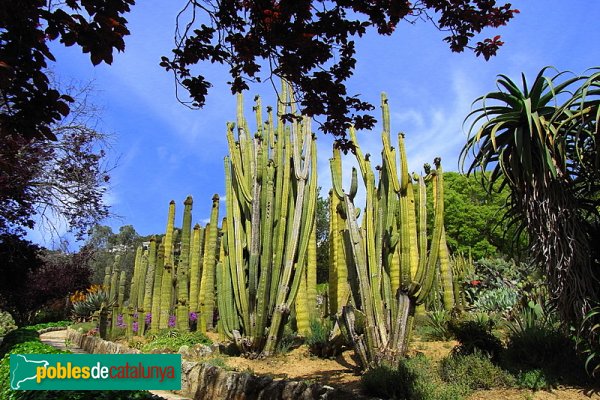 Jardí botànic Pinya de Rosa